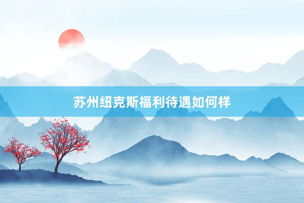 苏州纽克斯福利待遇如何样